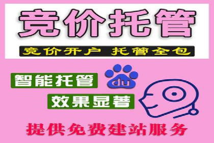 SEM代运营推广公司成功案例，助力企业提升转化率